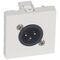 Arteor™ - 3-pole XLR socket - male - 2 modules - White