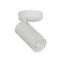 LENGAN: Interior Single Head Adjustable Round Base Spot Lights
