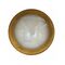 STE: Exterior LED 12V/240V Antique Brass Eyelid/Round Step/Wall Lights IP65