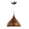 ZARA: Modern Dome Shape Pendant Lights