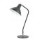 COLLO:  Cone Shade with Antique Brass Highlight Table Lamps
