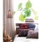 RICTUS: Bohemian Glass with Quadrilateral Segments Ellipse Shape Pendant Lights
