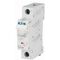 MCB Eaton C Curve 1 Pole 50A | 6kA Breaking Capacity | Ideal for Residential & Commercial Use | by Tobin
