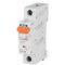 MCB Eaton C Curve 1 Pole 10kA 63A | 1 Pole Configuration | 10kA Breaking Capacity | C Curve Tripping | by Tobin