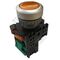 Pushbutton Illuminated 24VAC Amber | LED Illumination | 1NO Contact | Flush Mount | by Tobin