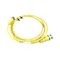 Allen-Bradley 1485RSP2N5M5 DeviceNet Standard Passive Cable