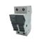 Allen-Bradley 1492FB2M30 2 Pole Fuse Holder 30 Amp