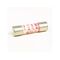 Allen-Bradley X276126 Glass Fuse 250V for Starter