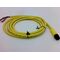 Allen-Bradley 889RM5AEA2 AC Micro Dual Key 5-Pin Straight Male PVC Cable