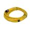 Allen-Bradley 889PF3ABD4M5 PICO Cable with DC Micro Connectors