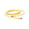 Allen-Bradley 889PF3ABPM1 1 Meter 3-Pin M8 Female to Male Patch Cord