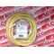 Allen-Bradley 889NU9AF5 Mini Plus 9-Pin Male Straight PVC Cable