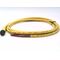 Allen-Bradley 889RM4AEA2 4 Pin Straight Male Cord Set 2M