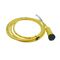 Allen-Bradley 889NF4AEC6F Mini Cable Female Straight 4 Pins