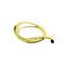 Allen-Bradley 889DR5ACDE2 DC Micro Cable Patchcord 2m
