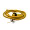 Allen-Bradley 889NF7AG2 Mini Cable Female Straight 7-Pin PVC