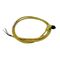 Allen-Bradley 889DR4AC1 DC Micro M12 Female 4-Pin PVC Cable