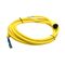 Allen-Bradley 889NF4AF12F Mini Cable Female Straight 4 Pins