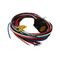 Allen-Bradley 888NF9AE13F Mini Straight Female Receptacle
