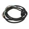 Allen-Bradley 889DF8AC2 Single Ended DC Micro M12 Female Cordset