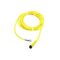 Allen-Bradley 889DSF5AC5 DC Micro Cable Female Straight 5 Pins