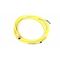 Allen-Bradley 889PF4UB2 PICO Cable Female Straight 4 Pins