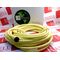 Allen-Bradley 889NF3AFC50F Mini Cable Female Straight 3 Pins