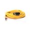 Allen-Bradley 889MF11RM5 M23 Quick Disconnect Cordset