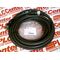 Allen-Bradley M23 Cable Female Straight 19 Pins Patchcord
