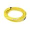 Allen-Bradley 889DM5AC10 DC Micro Cable Male Straight 5 Pin 10m