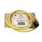 Allen-Bradley 889NL3AFA6F Mini Cable Female Right Angle Neon 3-Pin