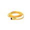 Allen-Bradley 889NF3AFNU6F Mini Cable Cordset 3 Pin QD 6ft Unshielded Male Straight