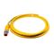 Allen-Bradley 889DM4SC2 DC Micro M12 Male Straight 4-Pin PVC Cable