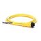 Allen-Bradley 889NF4AE6F Mini Plus Cordset 4-Pin Female Straight