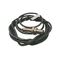 Allen-Bradley 872CD3NE12A2 Proximity Sensor 12mm Diameter