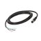 Allen-Bradley 889DM8AB2 DC Micro Cable Male Straight 8-Pin