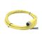 Allen-Bradley 889DSF4AC2 DC Micro M12 Female Straight Connector