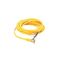 Allen-Bradley 889NU12AF2 Mini Cable Cordset 12-Pin 2 Meter