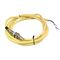 Allen-Bradley 871TMB4N12C2 Inductive Sensor 12mm Barrel Diameter
