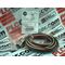 Allen-Bradley 888MF11AE6F M23 Female Straight 12-Pin Receptacle Cable