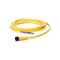 Allen-Bradley 2 Meter Female Straight 4 Pin M12 Cordset