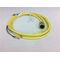Allen-Bradley 889DA4AC2 DC Micro Cable Female Straight LED NPN 4 Pins