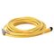 Allen-Bradley 889DF5EC15 DC Micro M12 Female Straight 5-Pin Cordset