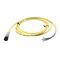 Allen-Bradley 889DB4AC2 DC Micro Cable Female Straight LED PNP 4 Pins