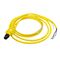 Allen-Bradley DC Micro M12 Y Cable Splitter