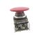 Allen-Bradley 800TD6LA Momentary Push Button