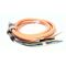 Allen-Bradley 2090CSWM1DF14AA03 Single Motor Cable