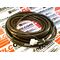 Allen-Bradley 2090XXNPT16S09 Power and Feedback Cable