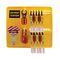 LOCKOUT 10 STN 10LOCKS 4HASP 10TAGS KIT (Lockout 10 Stn 10Locks 4Hasp 10Tags Kit)