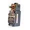 Allen-Bradley 802RHC NEMA Sealed Limit Switch